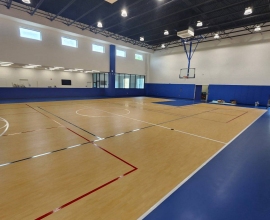 SSE-Project-319479296