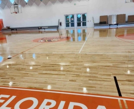 SSE-Project-3915531335542295315