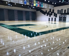 Stetson University